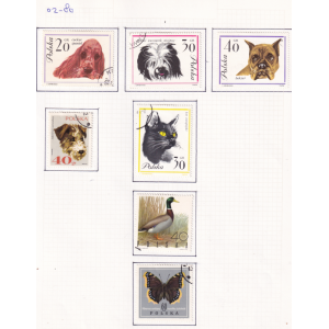 02-80_polska_animals_1970_1372279864